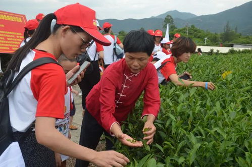 上榜 全國巾幗現代農業科技示范基地