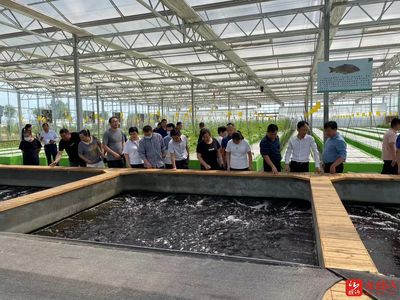 臨沂市農(nóng)科院深化科技服務走進山里王田園綜合體
