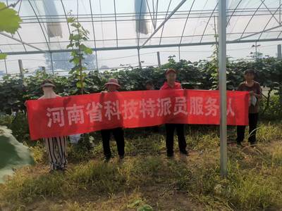 河南省科技特派員王尚堃赴鄲城縣開展‘陽(yáng)光玫瑰’葡萄栽培管理技術(shù)服務(wù)指導(dǎo)