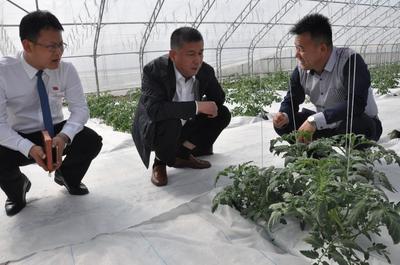 “造血”扶貧模式 帶動貧困戶產業脫貧